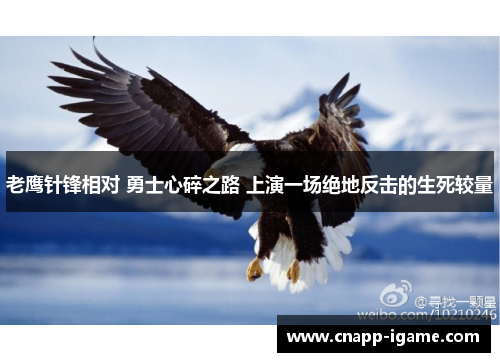 老鹰针锋相对 勇士心碎之路 上演一场绝地反击的生死较量 老鹰针锋相对 勇士心碎之路 上演一场绝地反击的生死较量