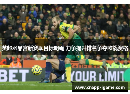 英超水晶宫新赛季目标明确 力争提升排名争夺欧战资格