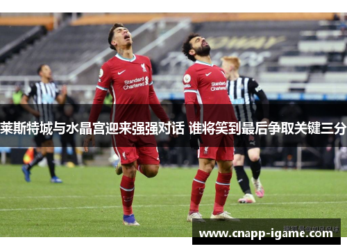 莱斯特城与水晶宫迎来强强对话 谁将笑到最后争取关键三分 莱斯特城与水晶宫迎来强强对话 谁将笑到最后争取关键三分
