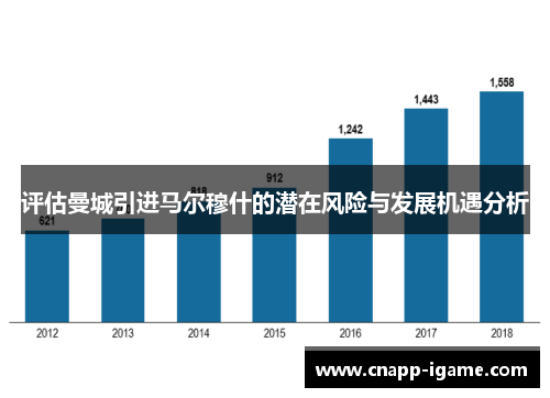 评估曼城引进马尔穆什的潜在风险与发展机遇分析