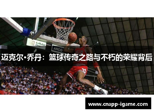迈克尔·乔丹：篮球传奇之路与不朽的荣耀背后