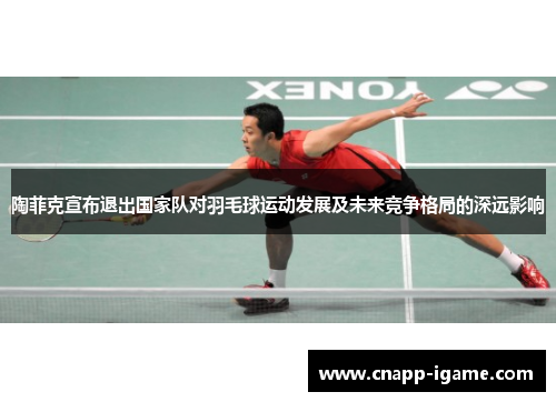 陶菲克宣布退出国家队对羽毛球运动发展及未来竞争格局的深远影响