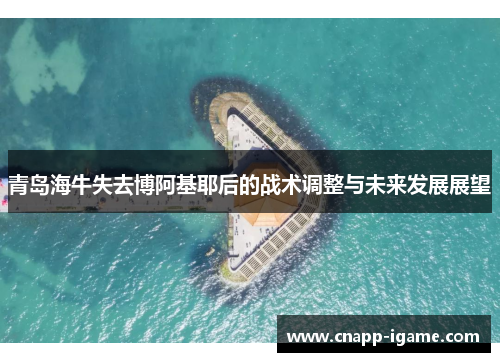 青岛海牛失去博阿基耶后的战术调整与未来发展展望 青岛海牛失去博阿基耶后的战术调整与未来发展展望