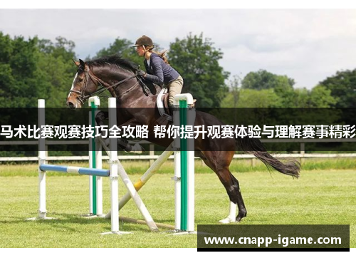 马术比赛观赛技巧全攻略 帮你提升观赛体验与理解赛事精彩
